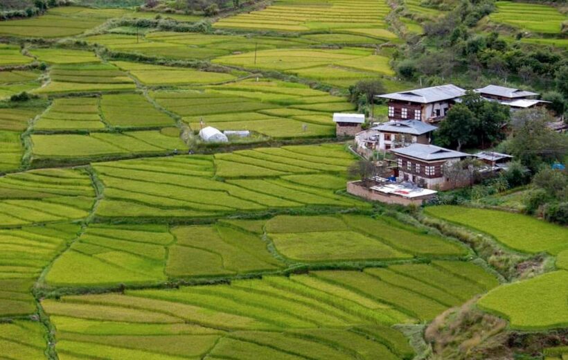 Authentic Bhutan Homestay Experience (9 Days and 8 Nights)