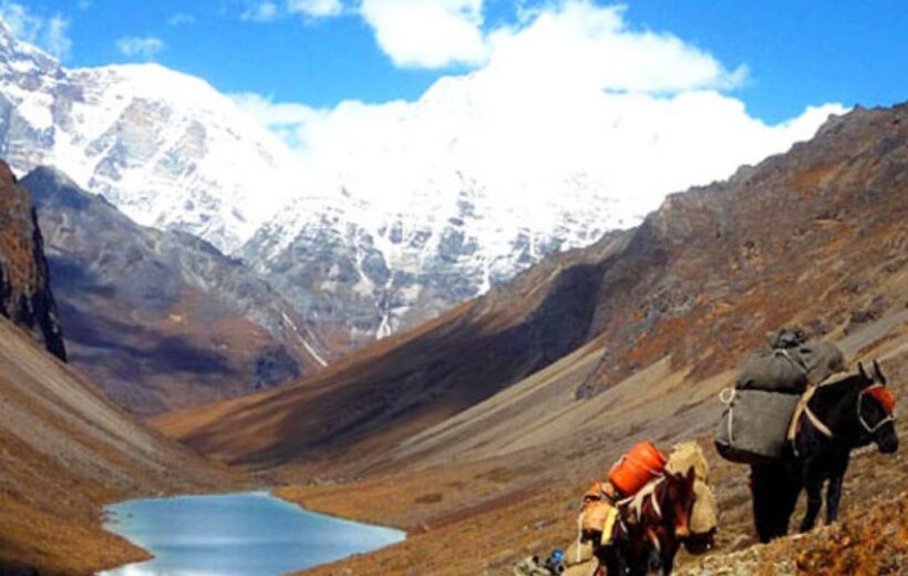 Thousand Lakes Dagala Trek (12 Days and 11 Nights)